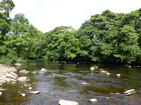 River Wharfe - Drebley