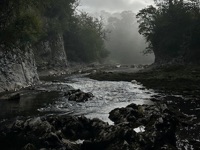 Loup Scar 